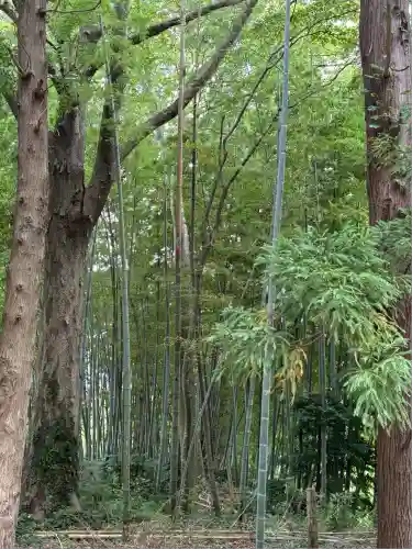 五社神社(新潟県)