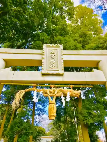 星宮神社の鳥居