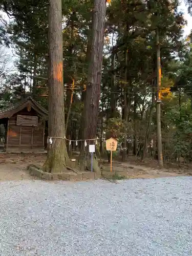 間々田八幡宮の自然