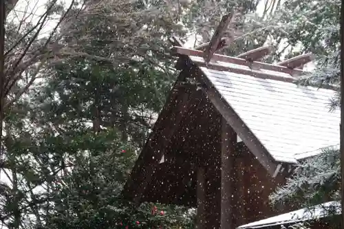 阿久津「田村神社」（郡山市阿久津町）旧社名：伊豆箱根三嶋三社の本殿・本堂