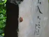 熊野神社(大庭神社舊趾)の動物