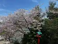 埴生神社の{uncategorized: "未分類", other: "その他", undefined: "問題あり", building: "その他建物", grave: "お墓", sacred_gate: "鳥居", guardian: "狛犬", statue: "像", buddha: "仏像", history: "歴史", nature: "自然", garden: "庭園", animal: "動物", pagoda: "塔", temizu: "手水舎", mountain_gate: "山門・神門", sanctuary: "本殿・本堂", subordinate: "末社・摂社", art: "芸術", scenery: "景色", jizo: "地蔵", ema: "絵馬", goshuin: "御朱印", omikuji: "おみくじ", items: "授与品その他", amulet: "お守り", goshuincho: "御朱印帳", eats: "食事", festival: "お祭り", votive_dance: "神楽", shichigosan: "七五三参", wedding: "結婚式", experience: "体験その他", initially: "初詣", around: "周辺", anti_infection: "感染症対策"}