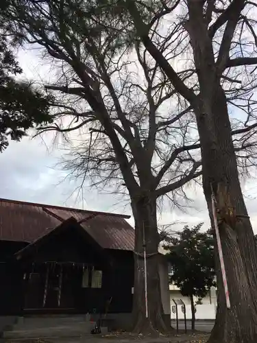 中の島神社(北海道)