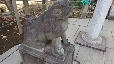 鳩森八幡神社の狛犬