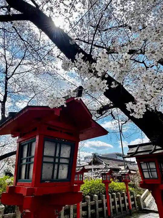 六孫王神社(京都府)