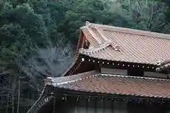 峯寺の建物その他