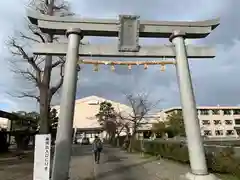 福井神社の鳥居