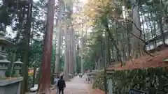 三峯神社の建物その他