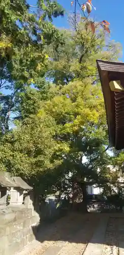 富足神社の自然