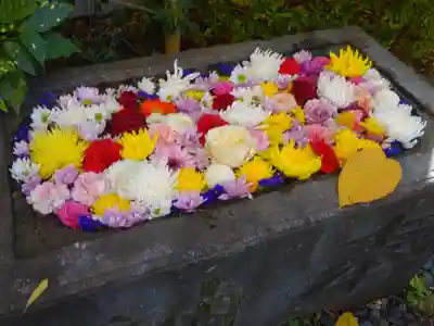 回向院の手水舎