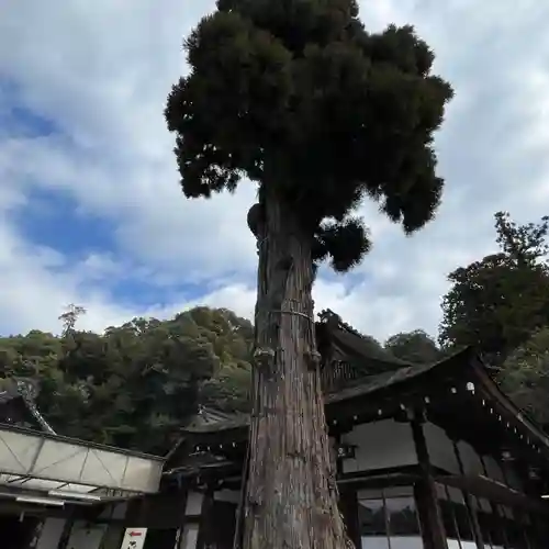 大神神社(奈良県)
