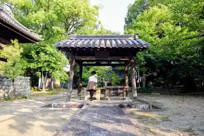蓮教寺の手水舎