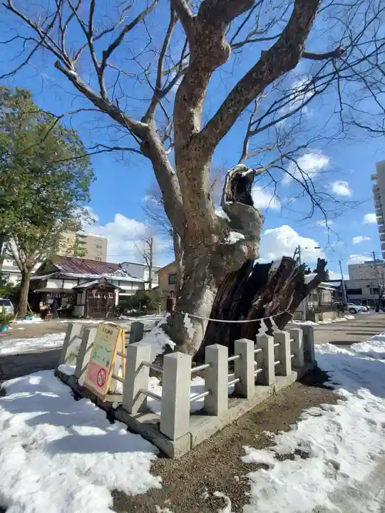 阿邪訶根神社(福島県)