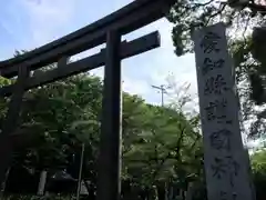 愛知縣護國神社の鳥居