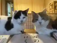 賀茂別雷神社(栃木県)