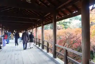 東福禅寺(東福寺)(京都府)