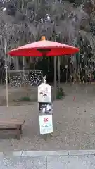 常陸第三宮　吉田神社の七五三参