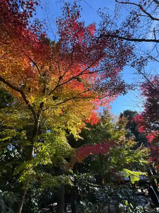 賀茂別雷神社(上賀茂神社)(京都府)