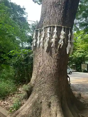 代々木八幡宮(東京都)