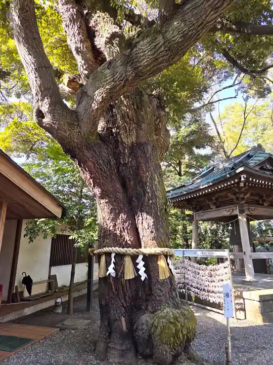 座間神社(神奈川県)