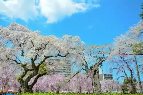 榴岡天満宮の周辺