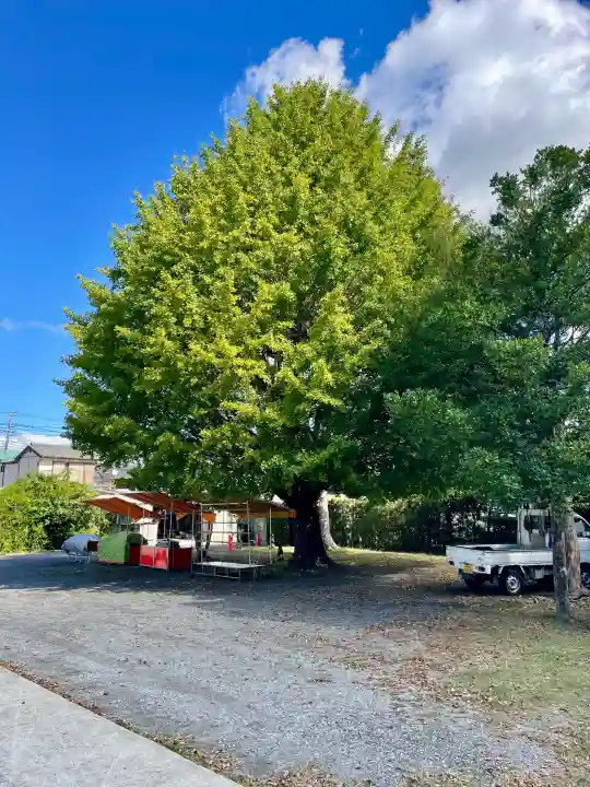 館山神社(千葉県)