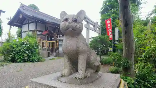 阿豆佐味天神社 立川水天宮の狛犬