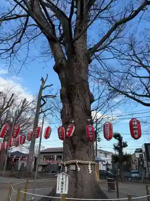東八幡神社(埼玉県)