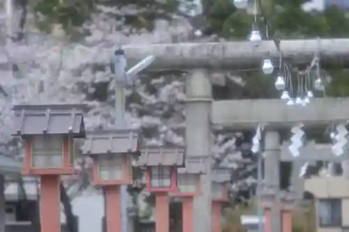 千住神社(東京都)