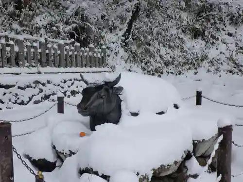 転法輪寺の狛犬