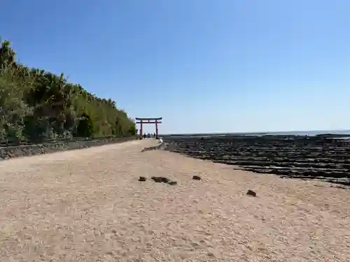 青島神社（青島神宮）の鳥居