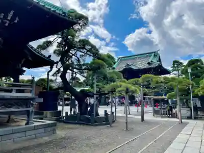 題経寺(柴又帝釈天)(東京都)