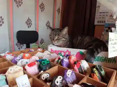 前玉神社(埼玉県)