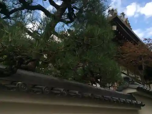 来迎寺(井戸来迎寺・紫雲山来迎寺)のその他建物