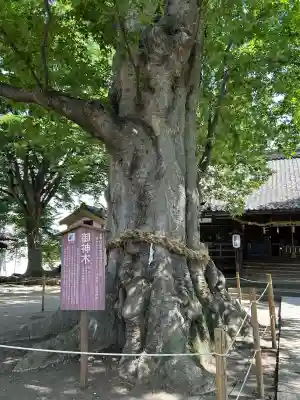 白鳥神社(長野県)