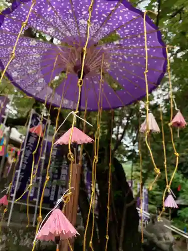 下野 星宮神社のおみくじ