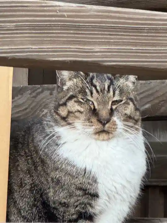 阿邪訶根神社(福島県)