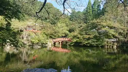 醍醐寺の庭園