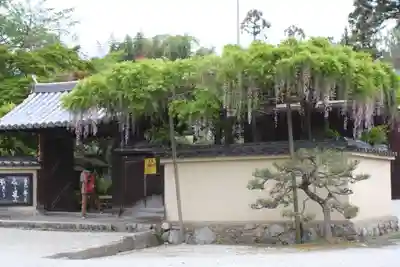 當麻寺 宗胤院(奈良県)