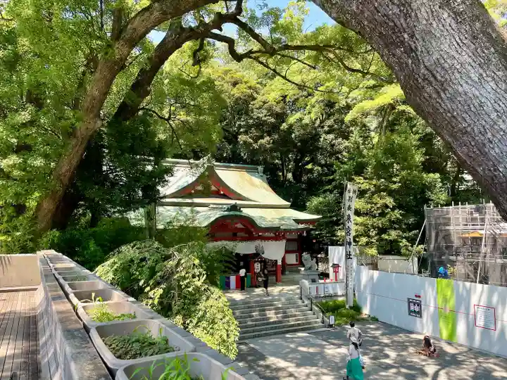 來宮神社(静岡県)