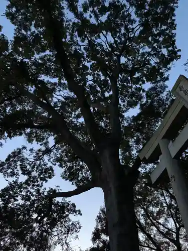 吾妻神社の自然