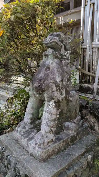 宇治神社の狛犬