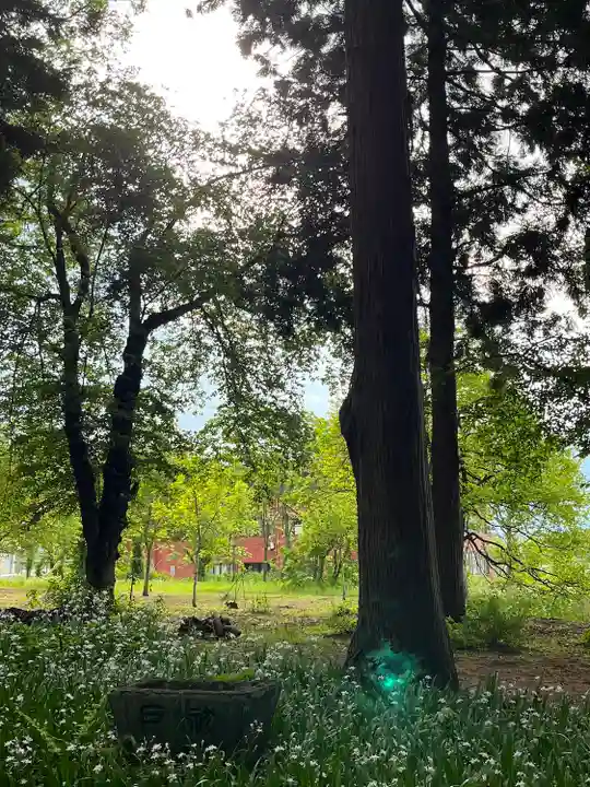 飯笠山神社(長野県)