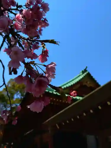 根津神社(東京都)