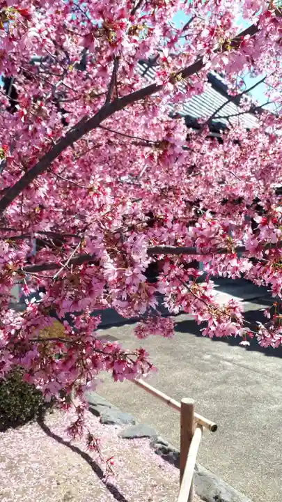 長徳寺(京都府)