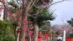 車折神社の自然