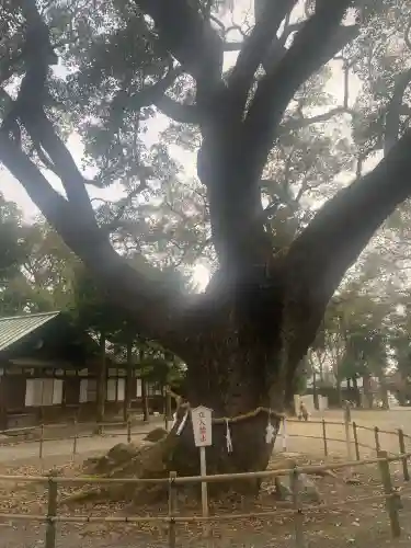 伊曽乃神社の{uncategorized: "未分類", other: "その他", undefined: "問題あり", building: "その他建物", grave: "お墓", sacred_gate: "鳥居", guardian: "狛犬", statue: "像", buddha: "仏像", history: "歴史", nature: "自然", garden: "庭園", animal: "動物", pagoda: "塔", temizu: "手水舎", mountain_gate: "山門・神門", sanctuary: "本殿・本堂", subordinate: "末社・摂社", art: "芸術", scenery: "景色", jizo: "地蔵", ema: "絵馬", goshuin: "御朱印", omikuji: "おみくじ", items: "授与品その他", amulet: "お守り", goshuincho: "御朱印帳", eats: "食事", festival: "お祭り", votive_dance: "神楽", shichigosan: "七五三参", wedding: "結婚式", experience: "体験その他", initially: "初詣", around: "周辺", anti_infection: "感染症対策"}