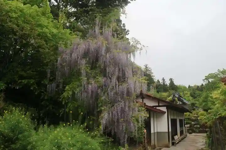 古峯神社の庭園