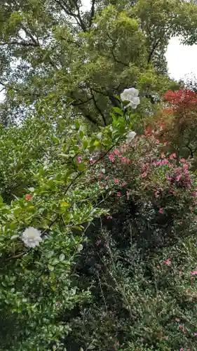 霊鑑寺門跡(京都府)