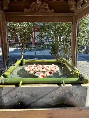 布施弁天 東海寺(千葉県)